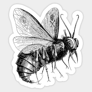 Victorian Evil Bee Sticker